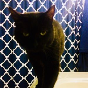 Meet your Posher, Cally